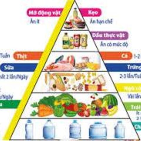 Tin tức - Sự kiện